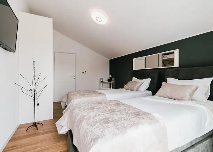 فيلة Felicity B4