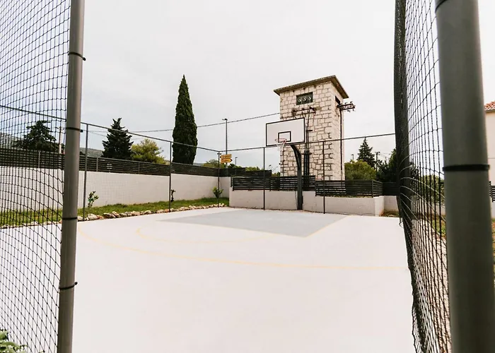 فيلة Felicity B4