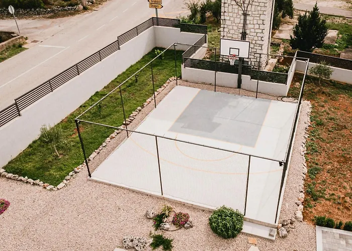 فيلة Felicity B4